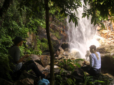 Viewing a waterfall