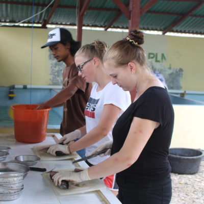 Voluntair cutting fish